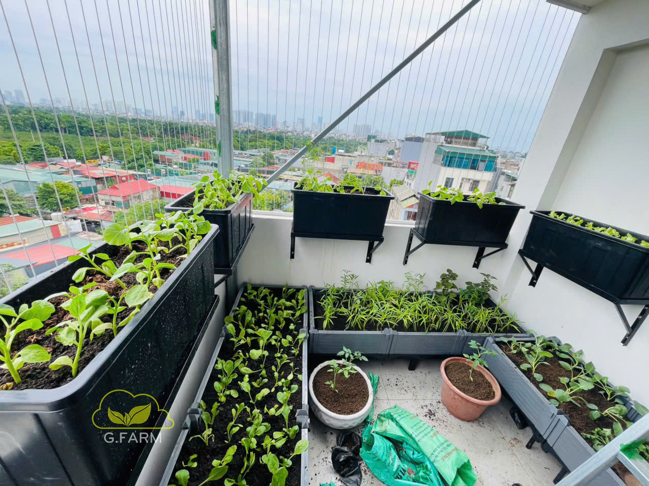 Vườn xinh chị Hằng Tây Tựu